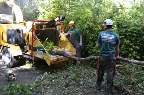 tree services Boulevard Gardens